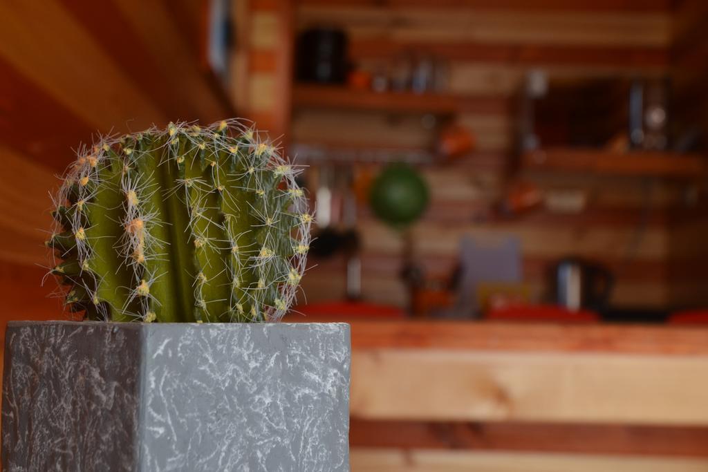 Apartamento Algarrobo Lodge